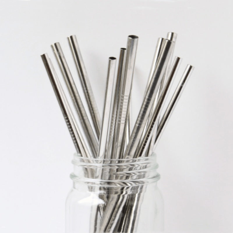 (25 sticks) pack 10.43" Reusable Metal Straws,Plastic and stainless steel